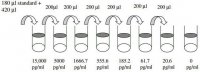 Human IFN ELISA Kit RAB0223-1KT
