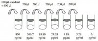 Human IL-11 ELISA Kit RAB0250-1KT