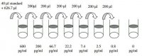 Human IL-12 p70 ELISA Kit RAB0252-1KT