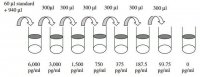 Human IL-17 ELISA Kit RAB0262-1KT