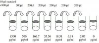 Human IL-2 ELISA Kit RAB0286-1KT