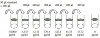 Human IL-28A / IFN- ELISA Kit RAB0291-1KT