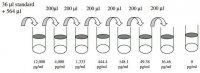 Human IL-3 ELISA Kit RAB0294-1KT