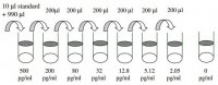 Human IL-33 ELISA Kit RAB0297-1KT
