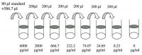 Human MIF ELISA Kit RAB0360-1KT