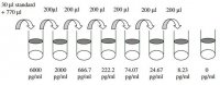Human MIG / CXCL9 ELISA Kit RAB0138-1KT