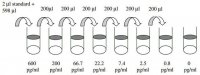 Human MIP-3 / CCL20 ELISA Kit RAB0059-1KT