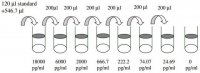 Human MMP-1 ELISA Kit RAB0362-1KT