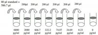 Human MMP-13 ELISA Kit RAB0364-1KT
