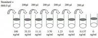Human MMP-7 ELISA Kit RAB0369-1KT
