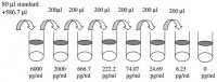 Human MMP-8 ELISA Kit RAB0370-1KT