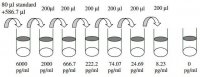 Human MMP-9 ELISA Kit RAB0372-1KT