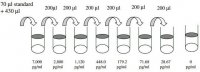 Human Notch-1 ELISA Kit RAB0384-1KT