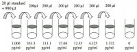 Human Placental Growth Factor ELISA Kit RAB0404-1KT