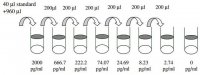 Human RANTES / CCL5 ELISA Kit RAB0076-1KT