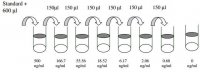 Human Tie-1 ELISA Kit RAB0465-1KT