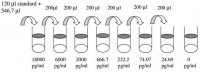 Human TIMP-1 ELISA Kit RAB0467-1KT