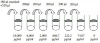 Human Tumor Necrosis Factor ELISA Kit RAB0340-1KT