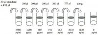 Human VEGF R3 ELISA Kit RAB0195-1KT