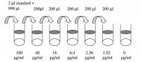 Mouse Eotaxin ELISA Kit RAB0043-1KT