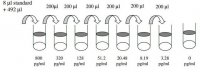 Mouse Eotaxin-2 ELISA Kit RAB0067-1KT