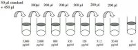 Mouse Flt-3 Ligand ELISA Kit RAB0193-1KT