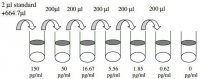 Mouse G-CSF / CSF3 ELISA Kit RAB0104-1KT
