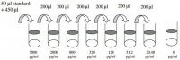 Mouse Growth Arrest Specific 6 ELISA Kit RAB0338-1KT