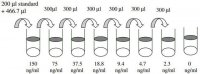 Mouse IGF-II ELISA Kit RAB0231-1KT