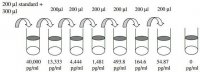 Mouse IGFBP-3 ELISA Kit RAB0236-1KT