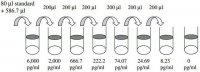 Mouse IGFBP-6 ELISA Kit RAB0241-1KT