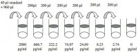 Mouse IL-12 P40/70 ELISA Kit RAB0255-1KT