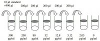 Mouse IL-5 ELISA Kit RAB0304-1KT