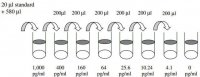 Mouse Leptin ELISA Kit RAB0334-1KT