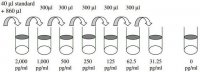 Mouse LIX / CXCL5 ELISA Kit RAB0131-1KT