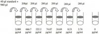Mouse MCP-1 / CCL2 ELISA Kit RAB0056-1KT