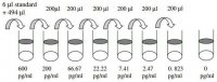 Mouse MFG-E8 ELISA Kit RAB0357-1KT