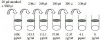 Mouse MIP-1 / CCL3 ELISA Kit RAB0074-1KT