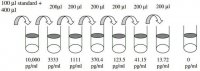 Mouse MMP-3 ELISA Kit RAB0368-1KT