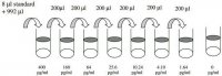 Mouse PLGF-2 ELISA Kit RAB0405-1KT