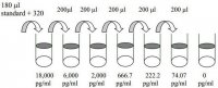 Mouse pro-MMP-9 ELISA Kit RAB0373-1KT