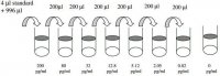 Mouse RANTES / CCL5 ELISA Kit RAB0077-1KT