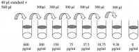 Mouse SDF-1 / CXCL12 ELISA Kit RAB0125-1KT