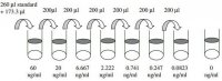 Mouse TIMP-2 ELISA Kit RAB0473-1KT