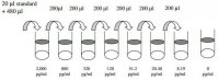 Porcine IL-8 ELISA Kit RAB0321-1KT