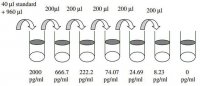 Rat CNTF ELISA Kit RAB0094-1KT
