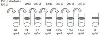 Rat CRP/C-Reactive Protein ELISA Kit RAB0097-1KT