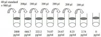 Rat Fractalkine ELISA Kit RAB0114-1KT
