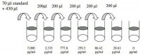 Rat ICAM-1 ELISA Kit RAB0221-1KT