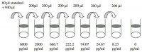 Rat IL-10 ELISA Kit RAB0246-1KT